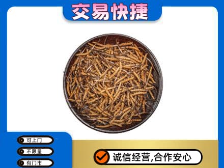 大庆市肇州回收散虫草